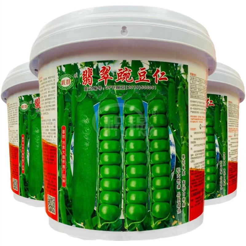 翡翠甜豌豆种子籽甜脆豌豆苗豌豆仁耐寒冬季四季青豆台湾长寿豆仁
