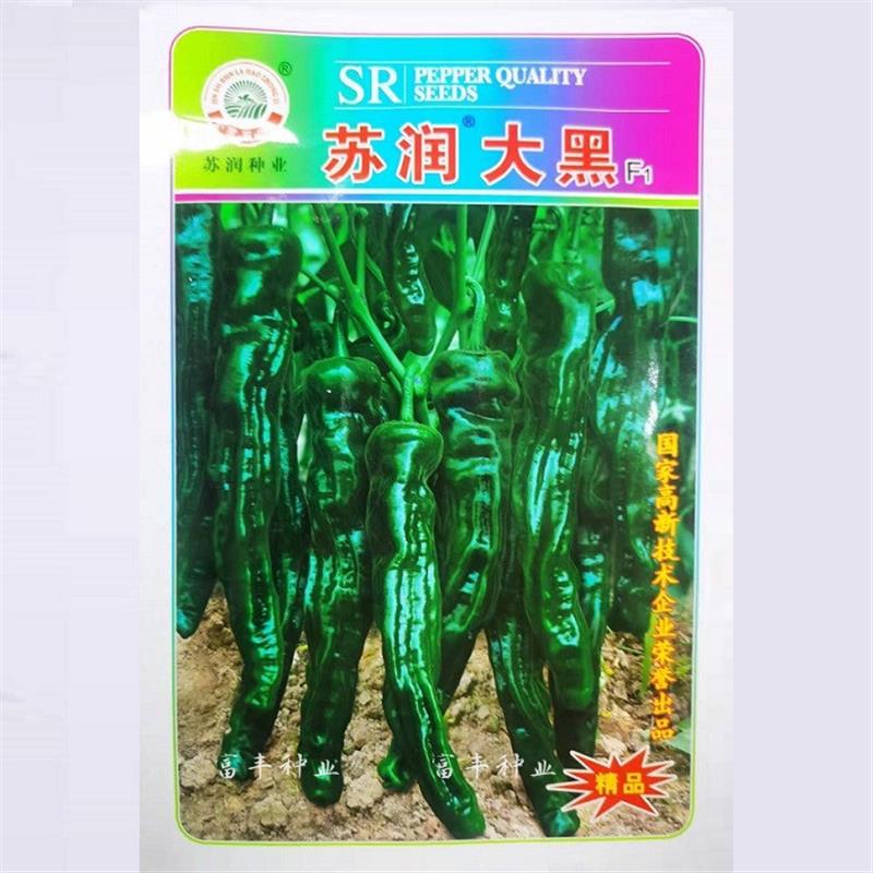 苏润大黑皱皮椒种子高产青果黑绿色皱皮羊角型辣椒种籽辣味香味