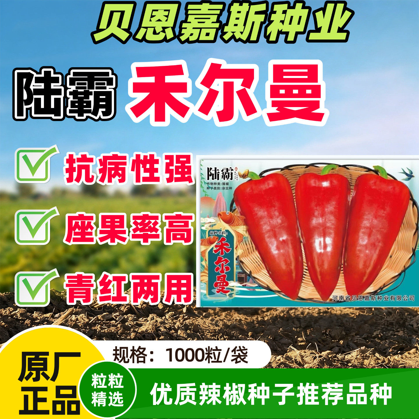 正品陆霸禾尔曼大果甜椒
