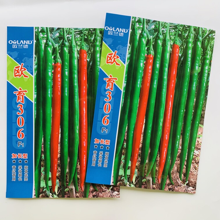欧兰德欧育306线椒辣椒种子 加长型高产青红两用顺直黑线椒种籽子