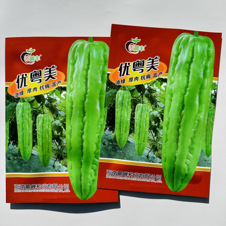 优粤美油亮苦瓜肉厚硬度好平肩钝尾菊花头26-30厘米苦瓜种子