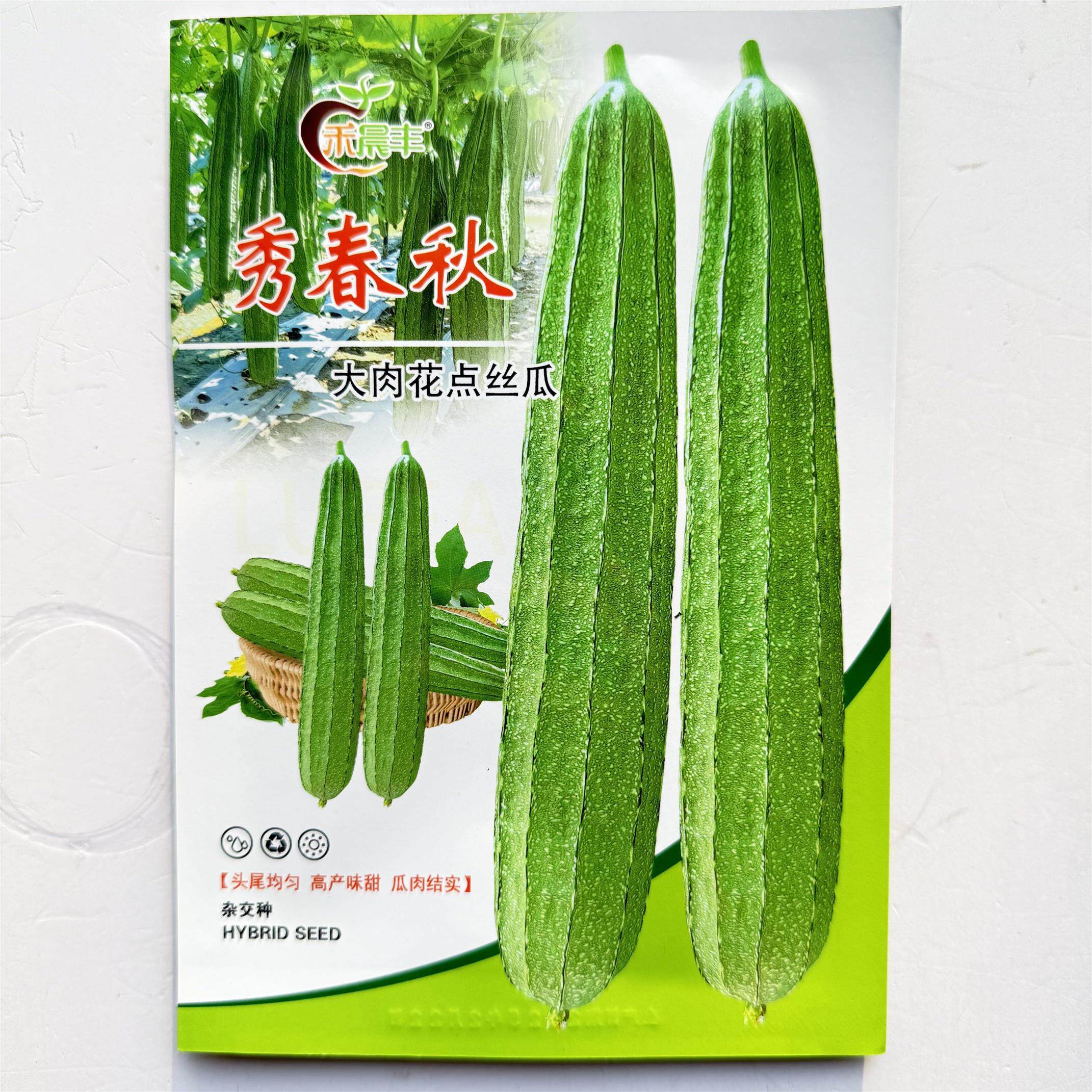 海南春秋大花点肉丝瓜种