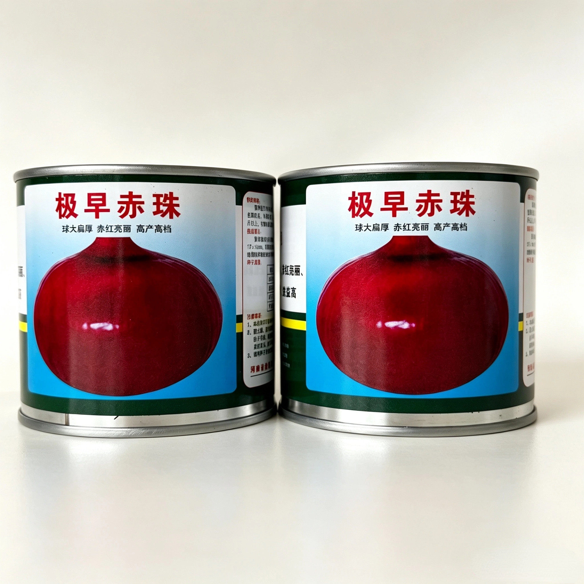 极早赤珠紫皮洋葱种子早