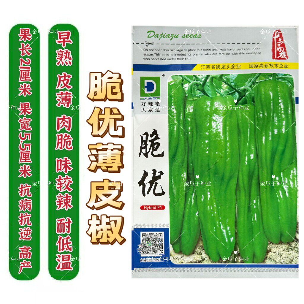 脆优薄皮辣椒种子早熟高