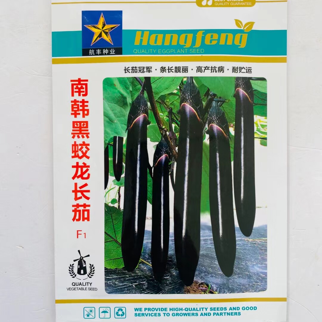 南韩黑蛟龙长茄种子早熟高产抗病耐贮运适广性强茄子种籽大田种孑