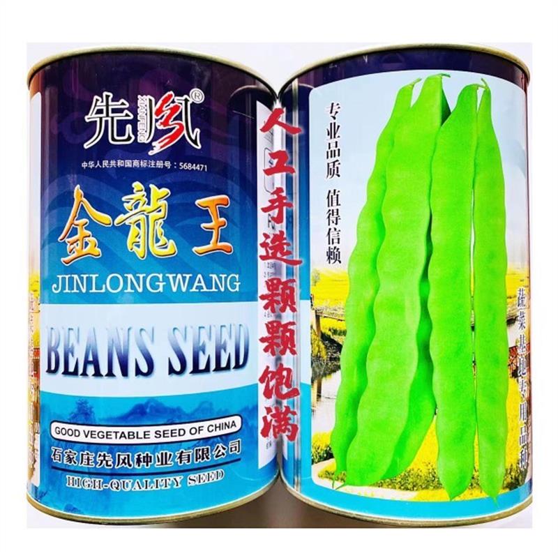 金龙架豆王无筋豆豆种四季豆种孑春秋高产扁豆角种子爬藤蔬菜种籽
