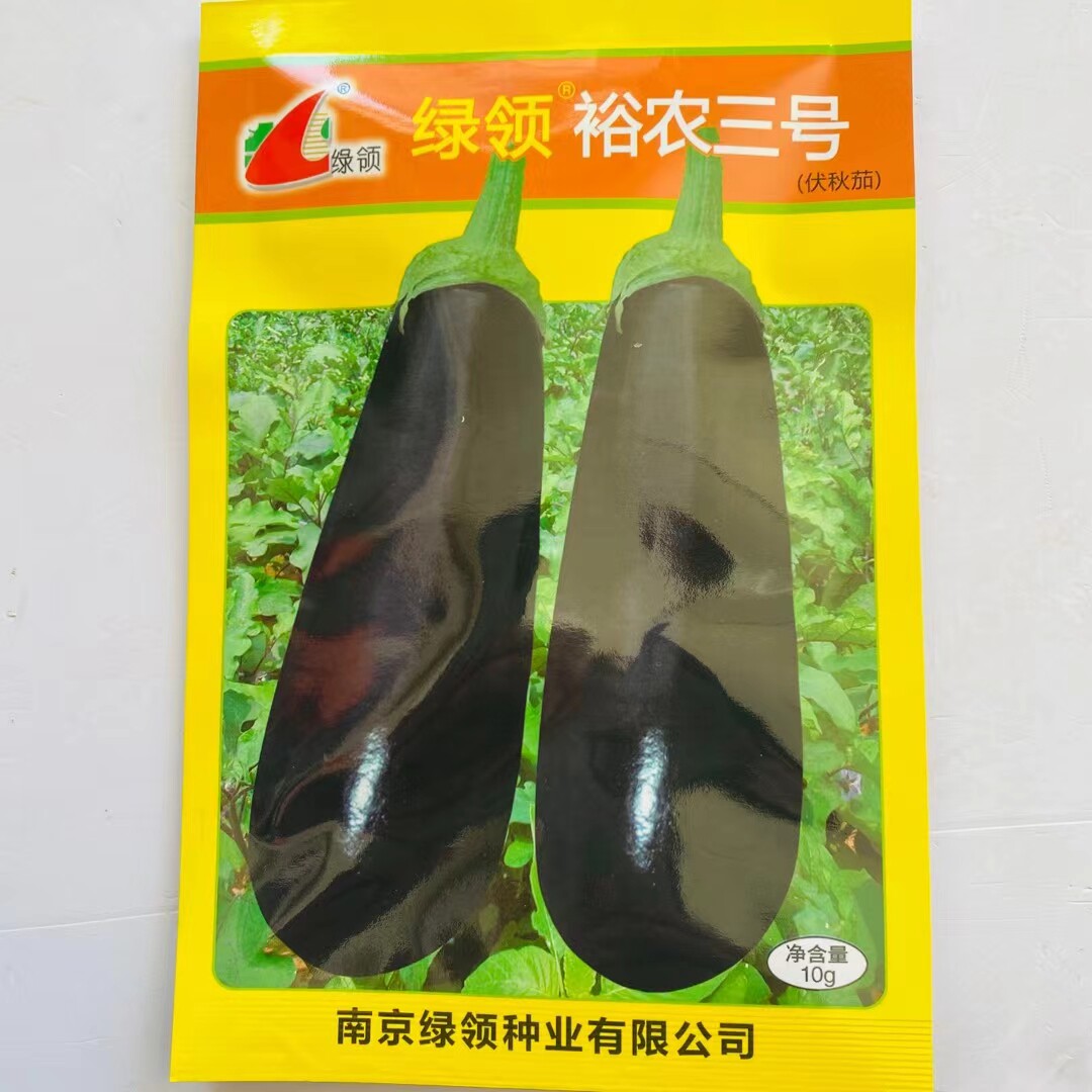 绿领裕农三号墨黑色茄子种子早熟高产南北方春秋露地大棚四季播种