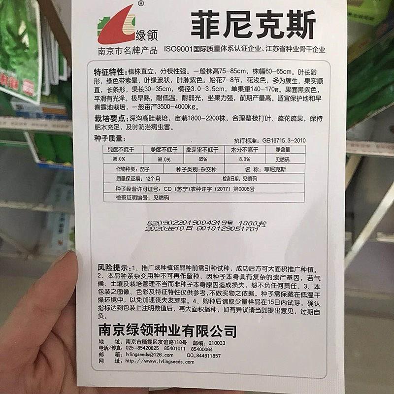 绿领菲尼克斯茄子种子黑紫色长茄子 秋冬季大棚抗病高产优质茄种
