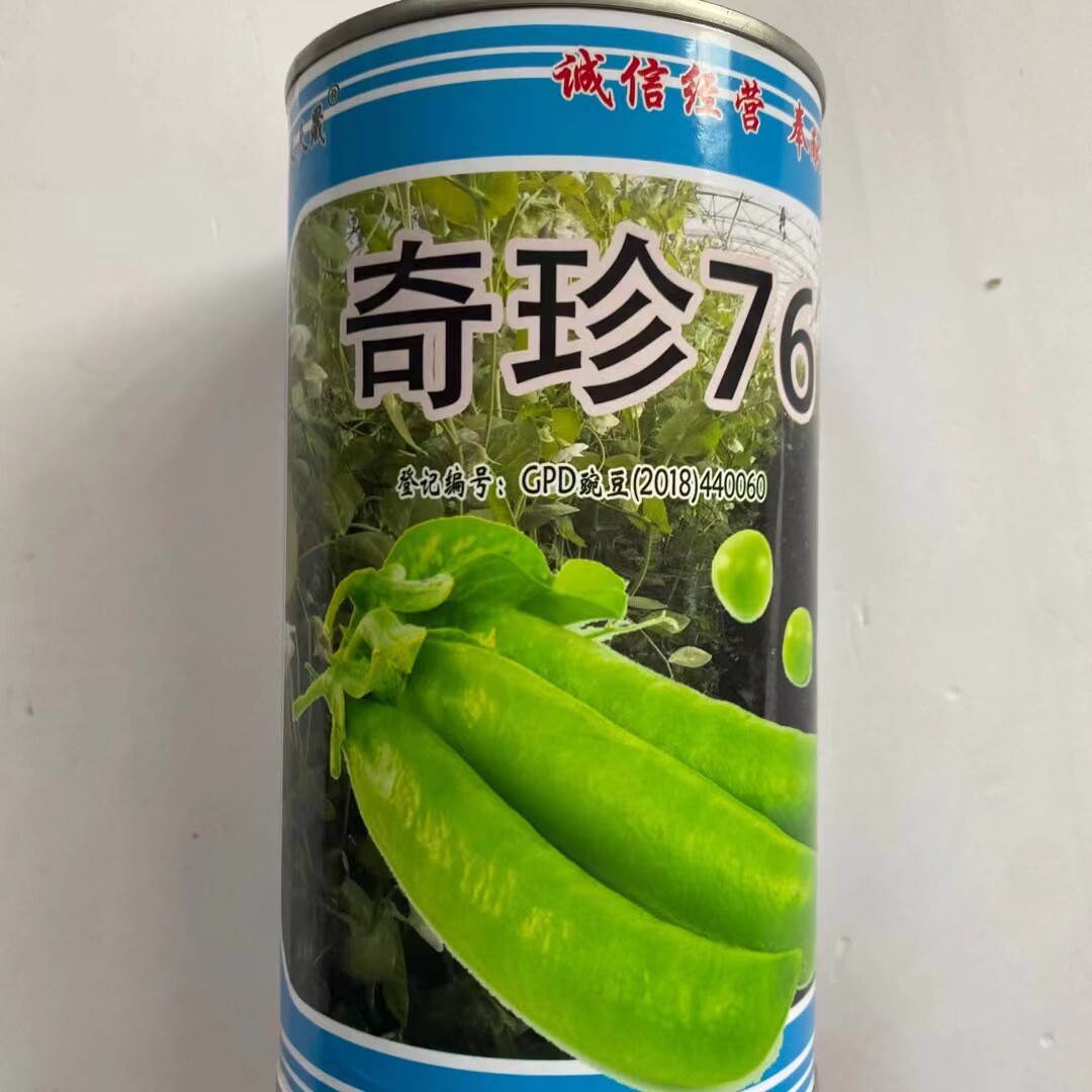奇珍76甜豌豆种子软荚春秋奇珍甜脆豌豆类型种籽秋季基地甜豆种孑
