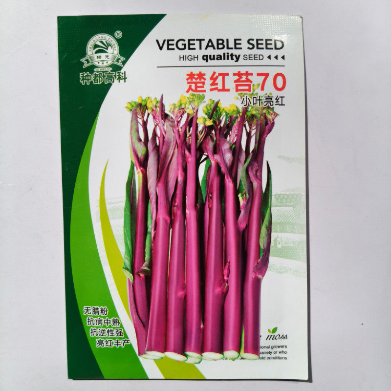 楚红苔70小叶亮菜苔种子