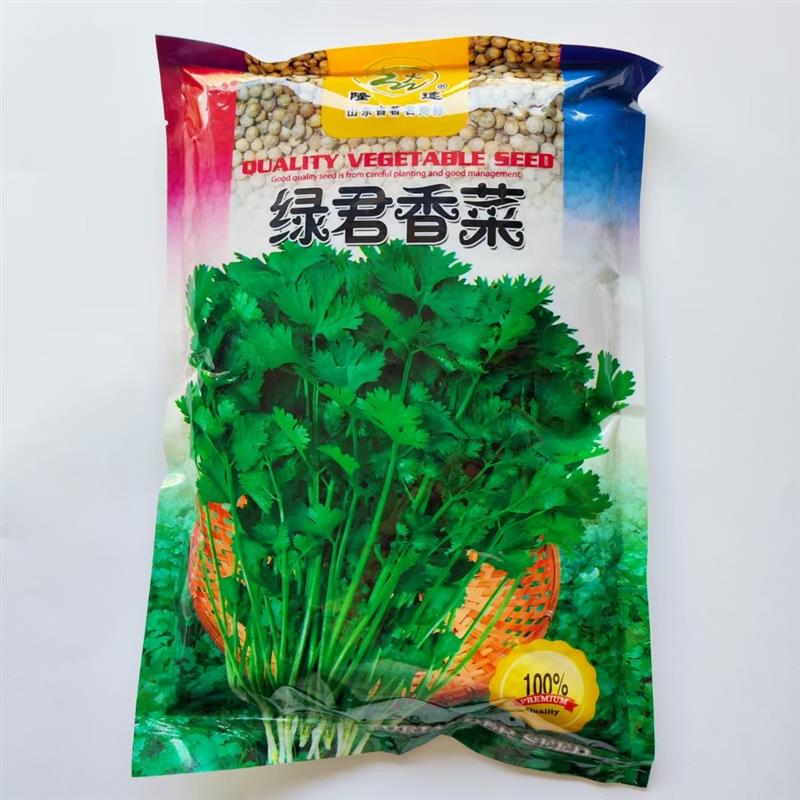 绿君香菜种子三天发芽芫荽种子蔬菜种子四季耐热耐寒耐抽苔香味浓