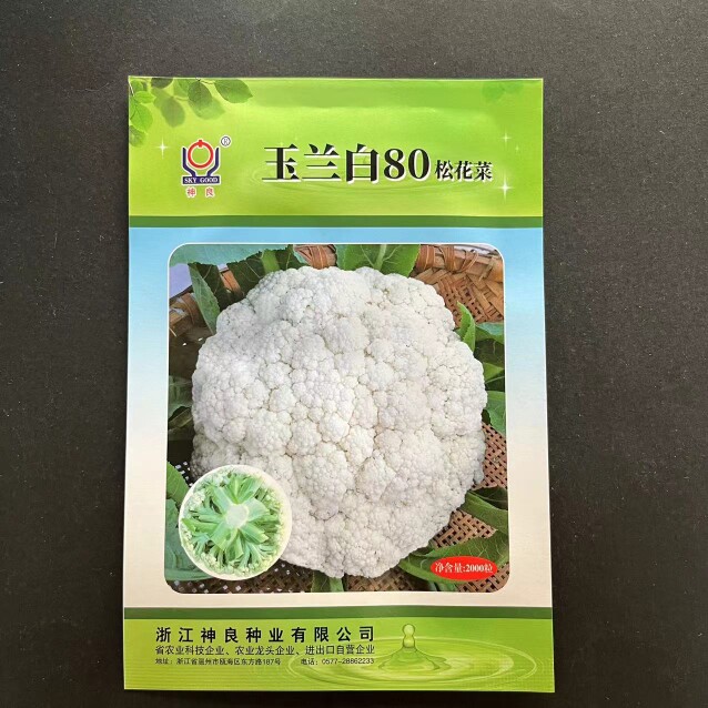 玉兰白80白松花菜种子中熟产量高花球洁白品质柔软甜脆味美