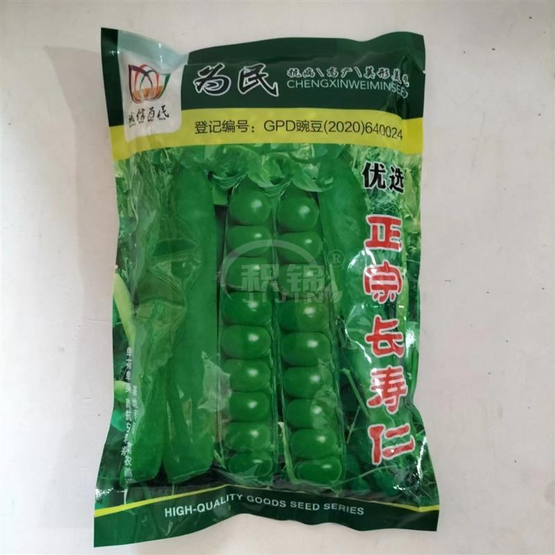 诚信为民优选正宗长寿仁豌豆种子中熟食粒豌豆种籽荷兰豆种子高产