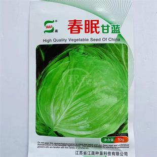 江蔬春眠甘藍種子雜交結球春甘藍圓球包菜種籽卷心菜蔬菜種籽高產