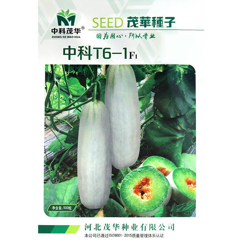 薄皮甜瓜种子香瓜种籽蜜瓜羊角蜜羊角酥脆甜早熟四季博洋中科T61