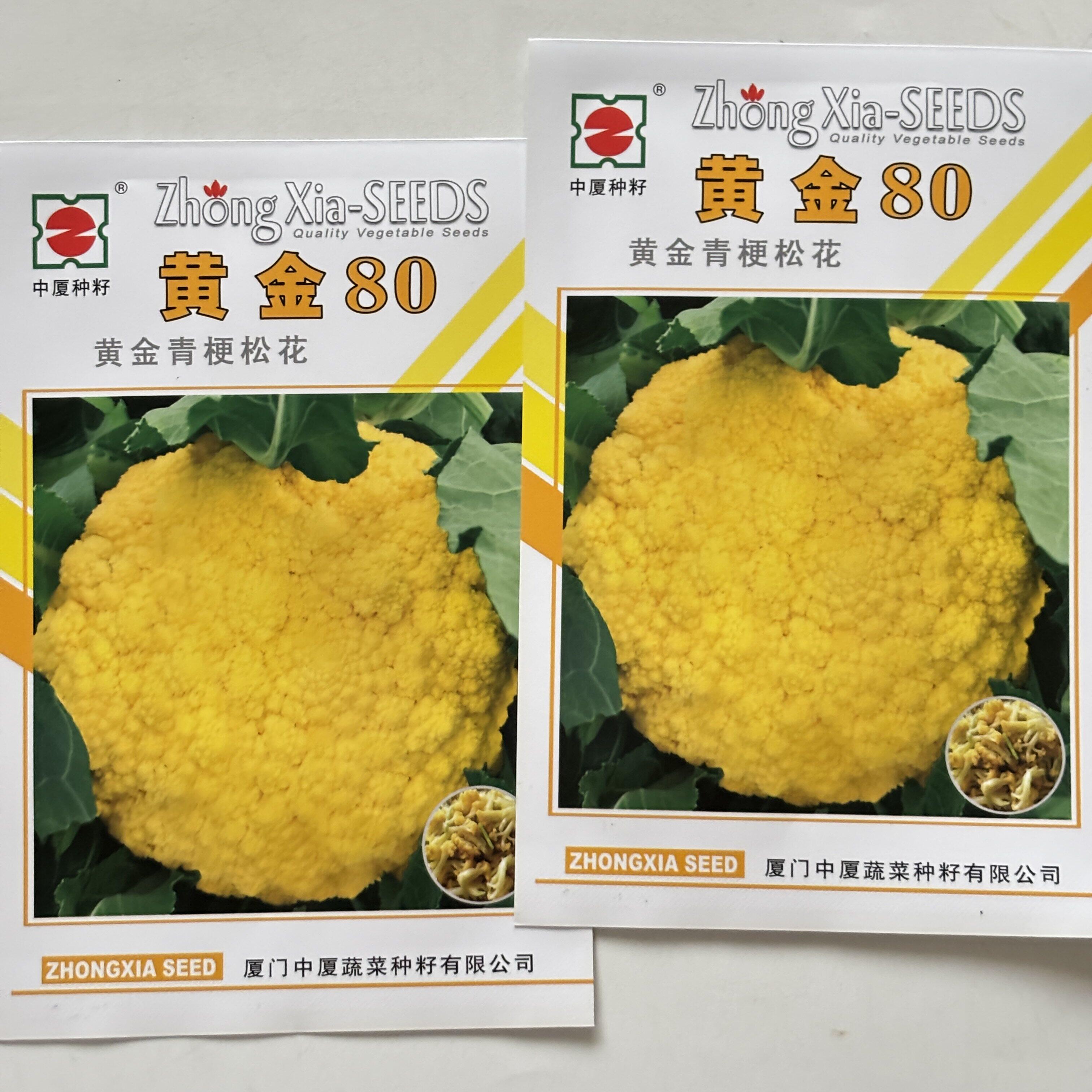黄金80青梗松花菜种子中