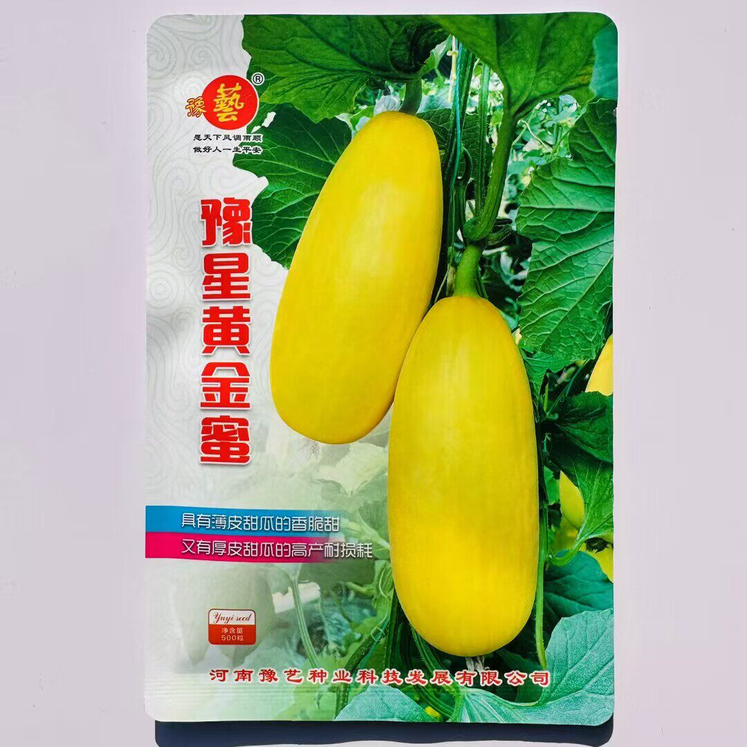 豫星黄金蜜中早熟薄皮甜