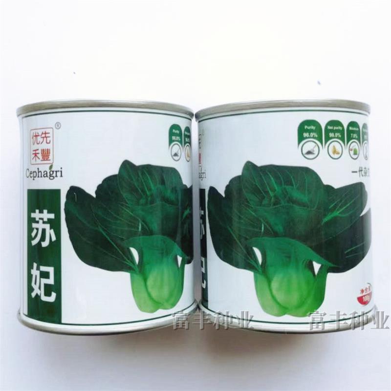 苏妃青菜种子一代杂交矮箕苏州青类型青梗菜种子耐寒矮脚青菜种子