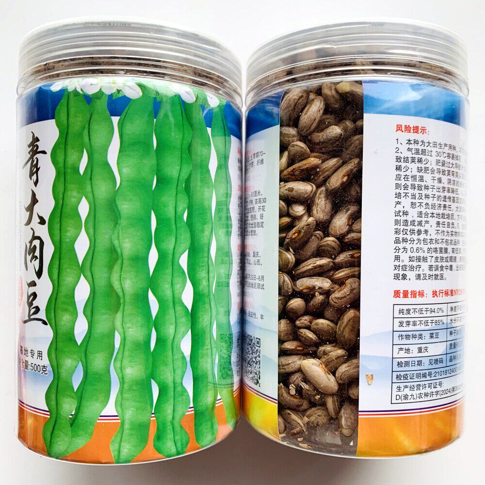 青大肉豆种子白花绿荚抗