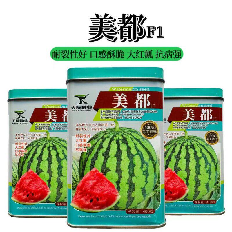 美都西瓜种子早熟抗病抗