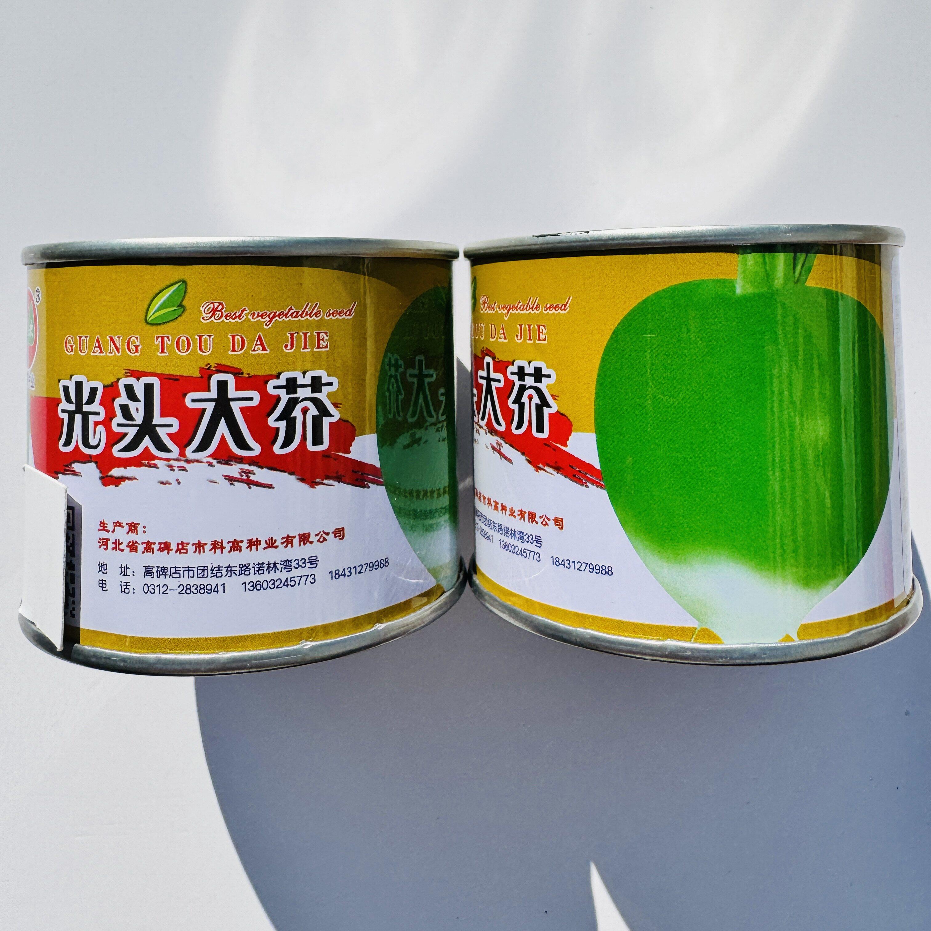 光头大芥菜种子板叶王洋