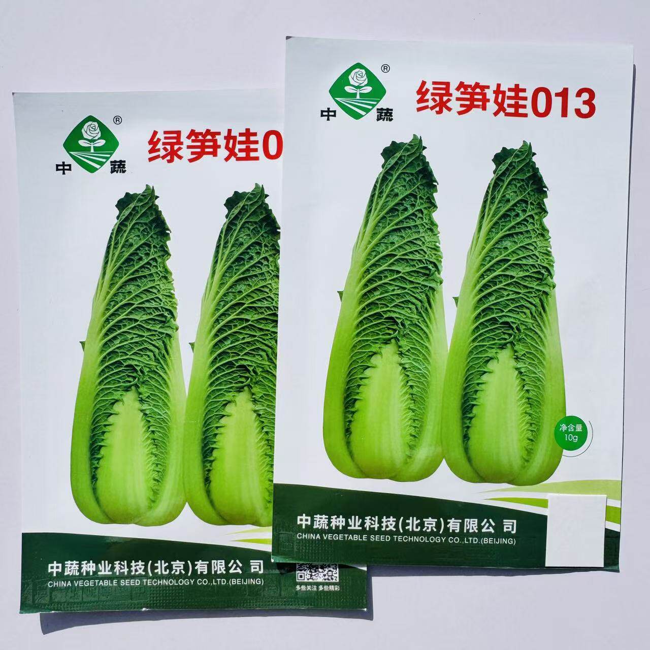 绿笋娃013龙牙白菜种子拧