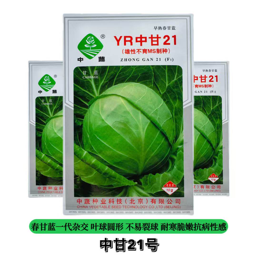 中蔬YR中甘21甘蓝种子春