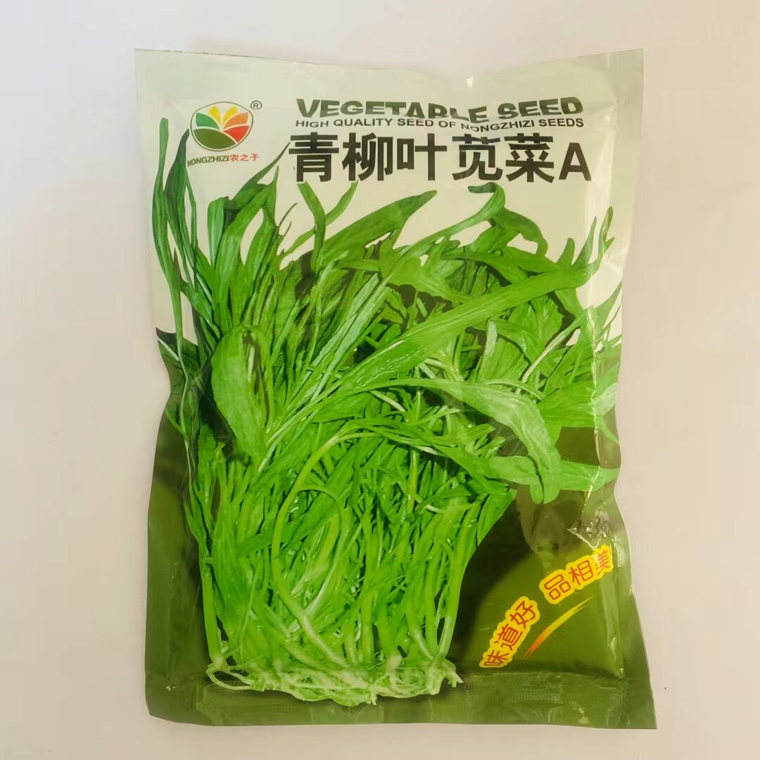 【青柳叶苋菜种子】绿叶尖叶好吃还好卖耐热速生速长蔬菜种子