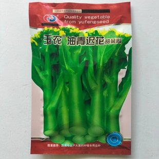 油青迟花青菜心种子甜菜心种籽青菜薹种子青菜苔种子蔬菜种子