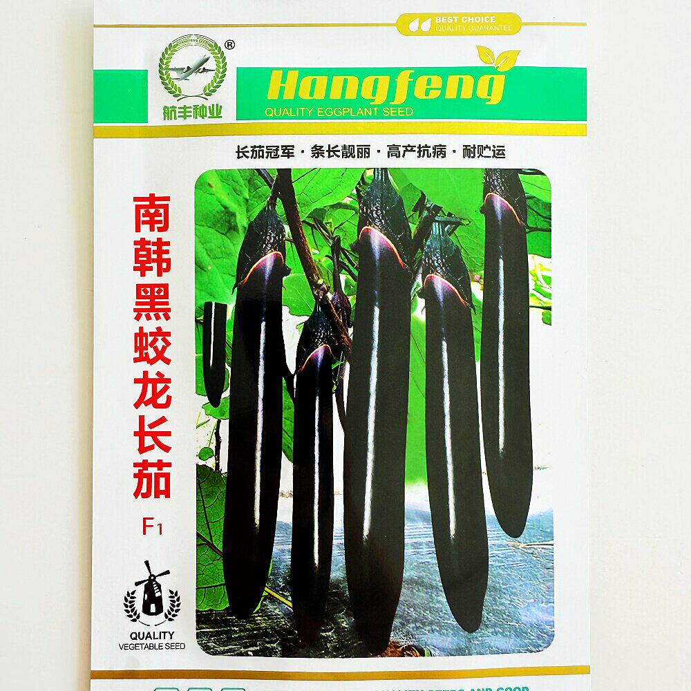 南韩黑蛟龙长茄种子杂交
