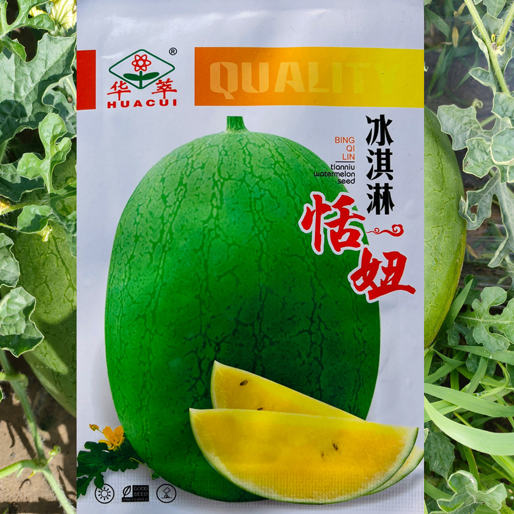 冰淇淋甜妞正品西瓜种子黄瓤西瓜种子四季大田用种早熟薄皮耐贮运