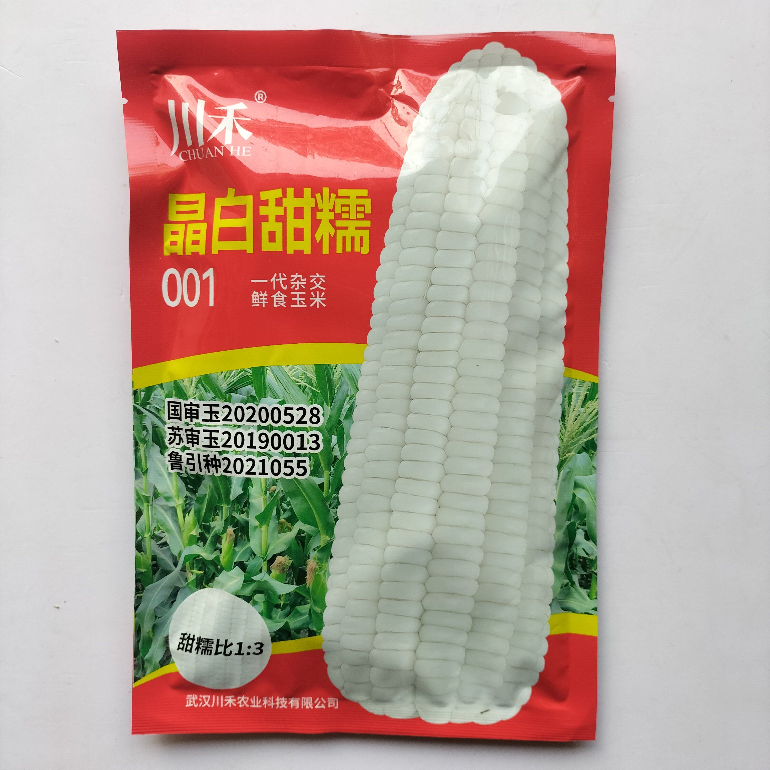 川禾晶白甜糯玉米种子鲜