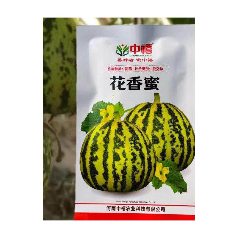 花香蜜甜瓜种子中早熟高