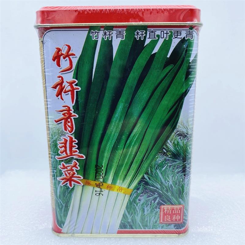 拯农韭菜种子竹杆青韭菜籽白杆绿叶宽大肥厚抗寒抗病春秋农田高产