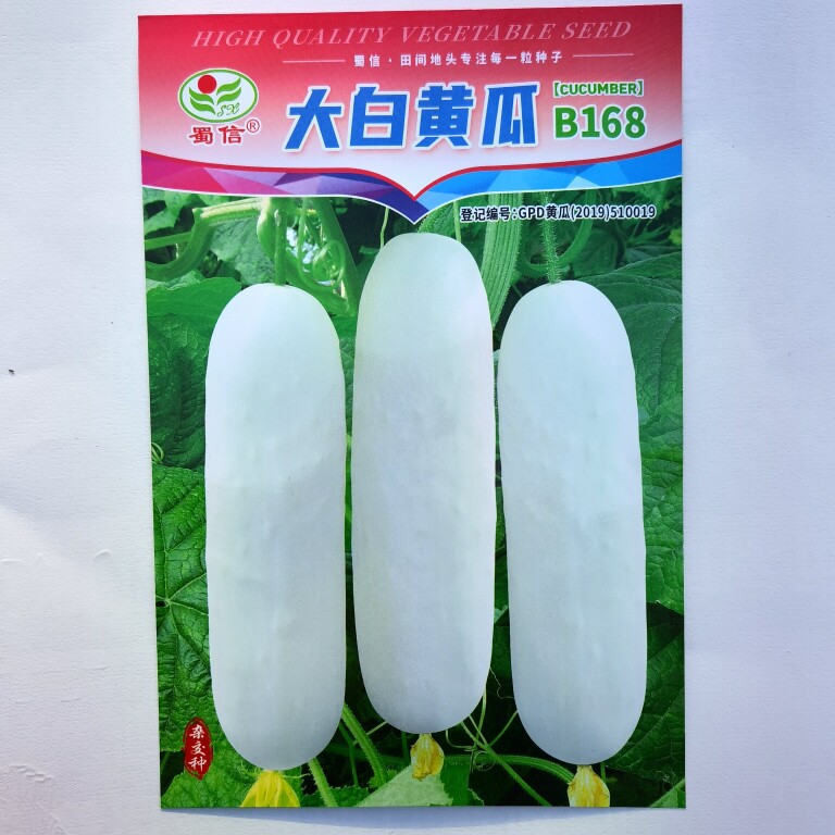 蜀信大白黄瓜种子可留种特大白黄瓜四季阳台大田种植蔬菜种子
