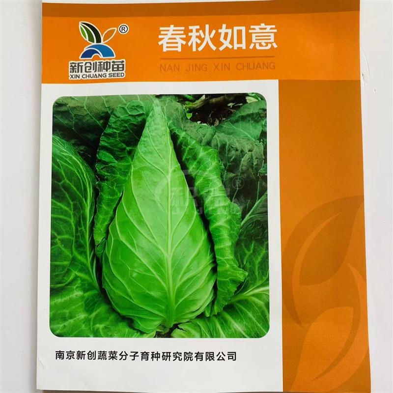 春秋如意牛心甘蓝种子中早熟抗病高产耐抽苔南北方农家春秋季播种