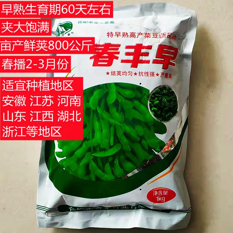 春丰早毛豆种子鲜食毛豆早熟大荚籽粒饱满农家大田春季播毛豆种孑