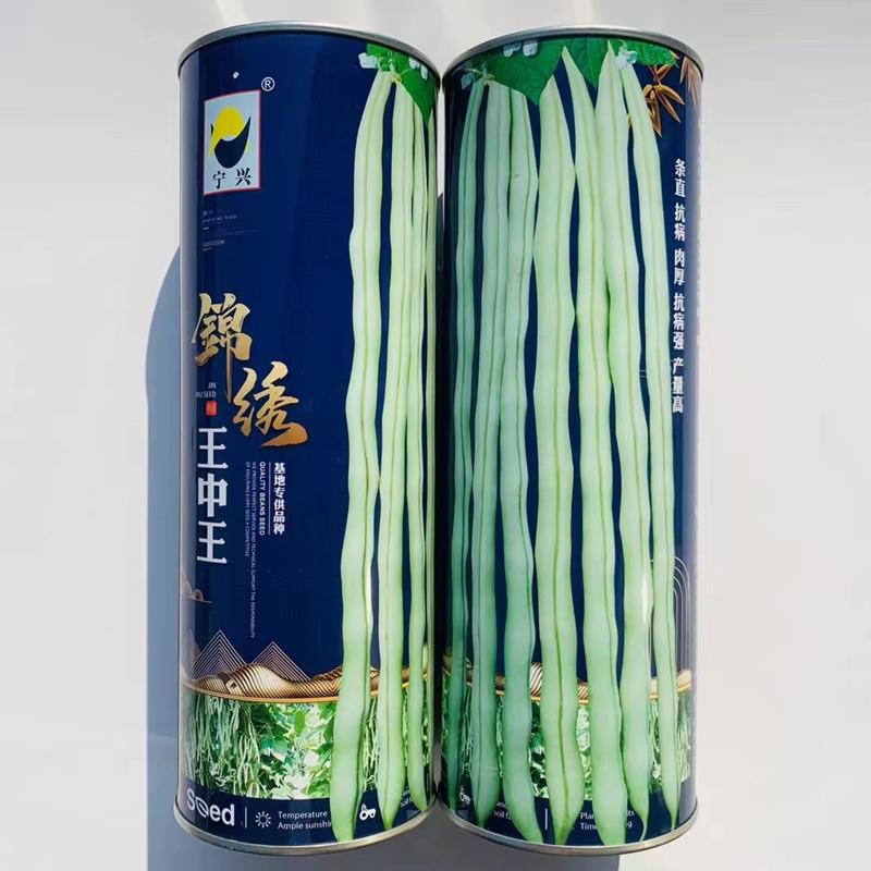 春播四季豆种子架豆菜豆抗病高产农家菜园大田春季秋季播蔬菜种子