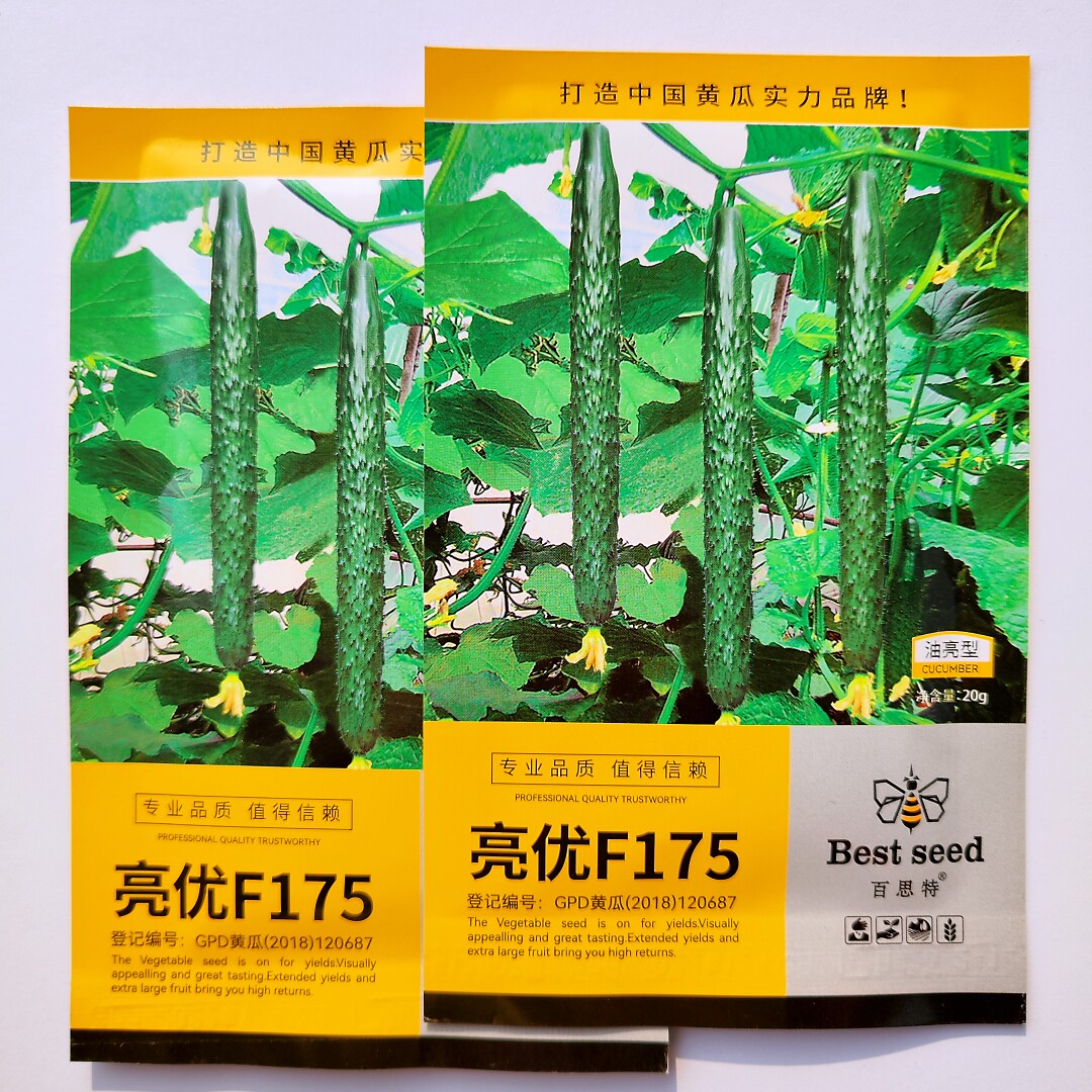 百思特亮优175黄瓜种子油亮深绿中刺绿瓤强雌节节瓜短把黄瓜种籽