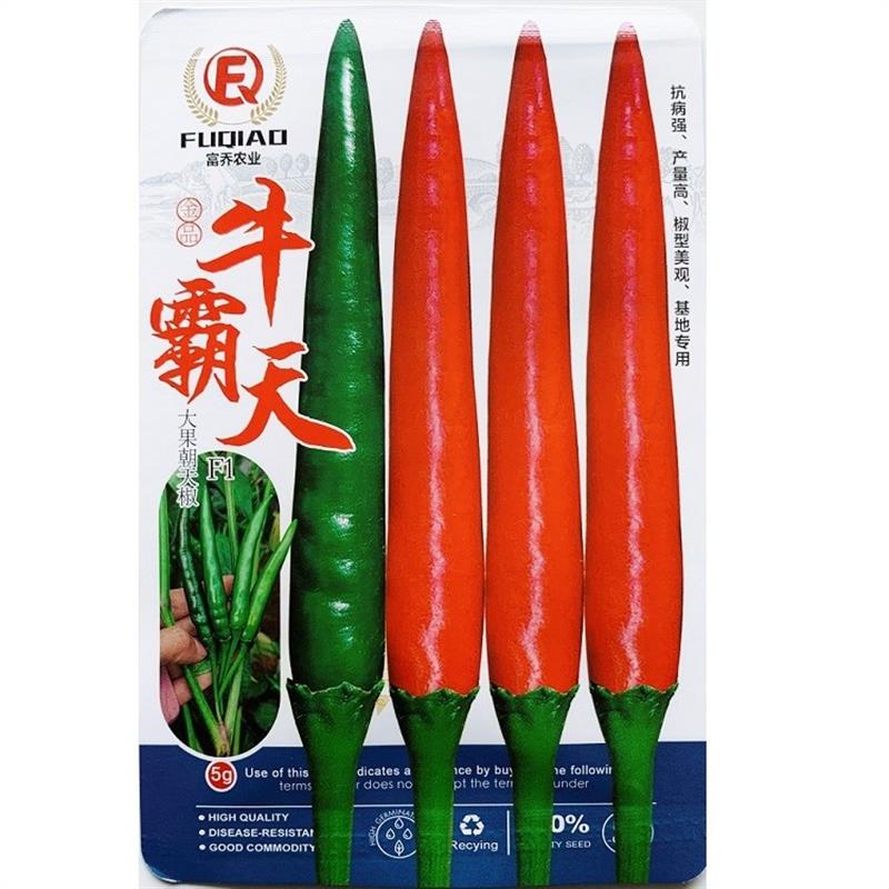 牛霸天朝天椒种子泰国引进大果朝天椒种子南方基地用小米椒种子