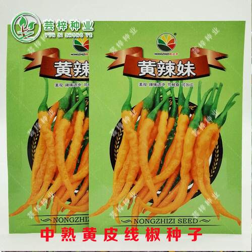 黄辣妹黄皮线椒种子长线椒二荆条香辣黄皮辣椒种籽高产春秋蔬菜籽
