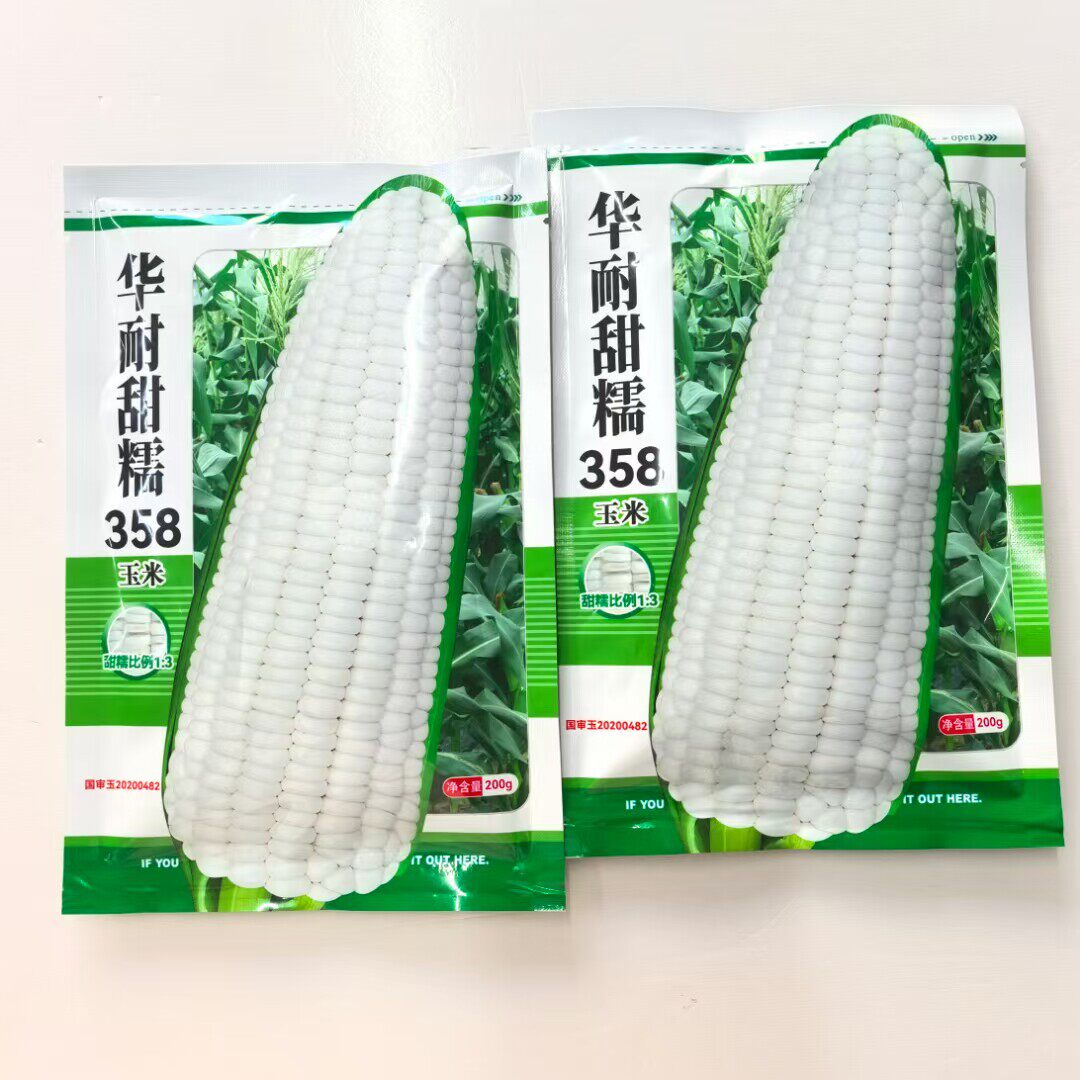 华耐甜糯356玉米种子白色