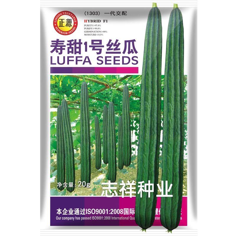 和利农正源寿甜1号棱丝瓜种子杂交早熟耐热口感甜脆农家蔬菜种孑
