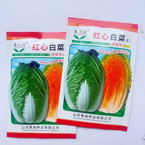 红心白菜种子杂交红芯色