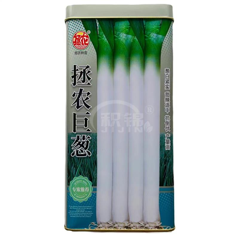 拯农巨葱种子山东章丘四季大葱种籽葱苗香葱小葱种抗倒伏抗病高产