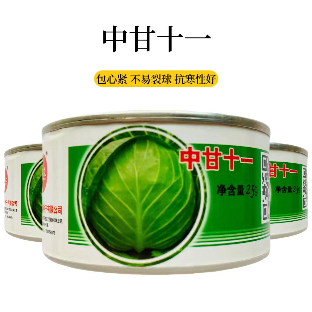 中甘十一号京丰一号甘蓝种子早熟春甘蓝春秋播种扁圆包菜种子包邮