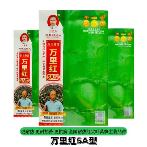 万里红5A型莴笋种子肉翠