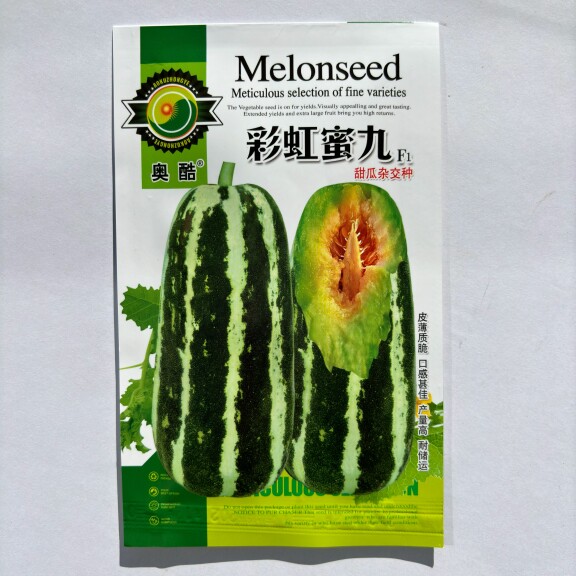 彩虹蜜九甜掉牙甜瓜种子薄皮脆甜花皮香瓜籽四季水果种孑春夏秋季