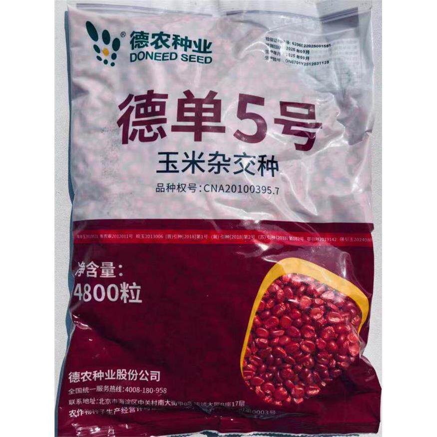 德农德单5号黄玉米种子大