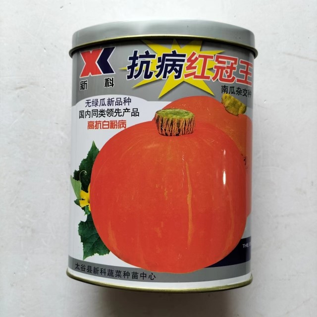 原厂正品红皮南瓜种子籽蔬菜种孑春季菜种子菜种籽农家南瓜种籽